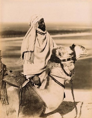 Фото Zangaki, Repos d'un chameau (no 585), 1870 г. © Bibliothèque nationale de France [www.expositions.bnf.fr] (http://expositions.bnf.fr/veo/grands/099.htm) 