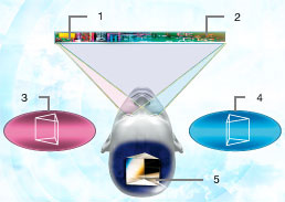 1. система управления направлением света;
2. ЖК-дисплей;
3. изображение, воспринимаемое левым глазом;
4. изображение, воспринимаемое правым глазом;
5. объемное изображение.