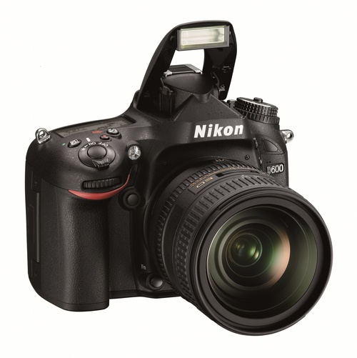Nikon D600: обзор, тестовые снимки, цена