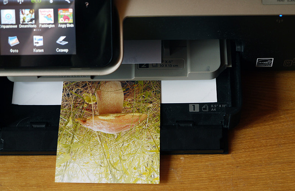 Это фото я отправил на принтер со смартфона, еще когда собирал грибы в лесу