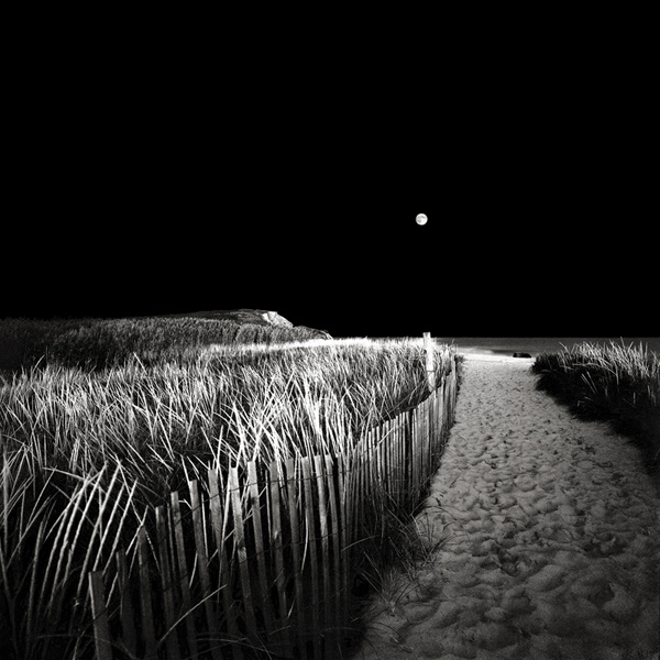 Moonrise, Chilmark, Massachusetts. © David Fokos