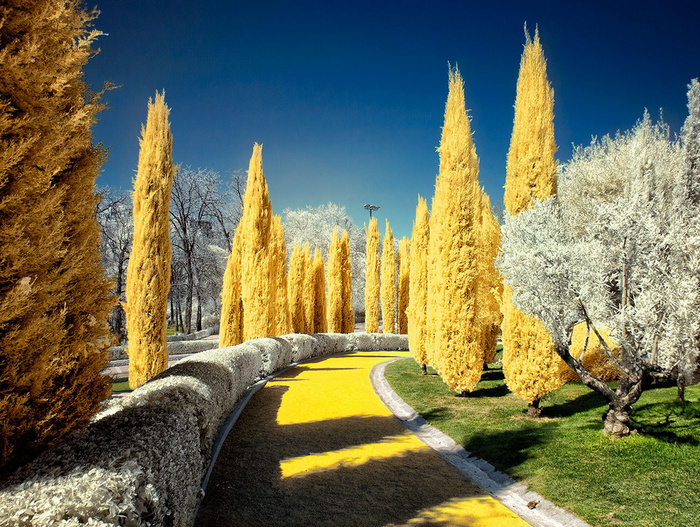 Follow the yellow brick road © Ӻotoαguαdo