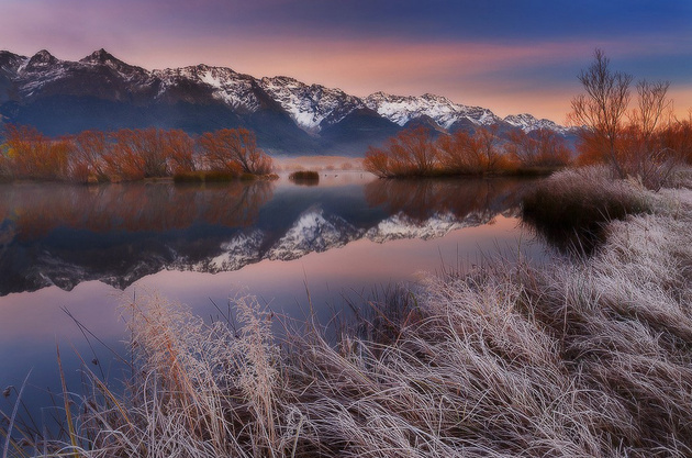 Frosted Over © Dylan Toh Marianne Lim