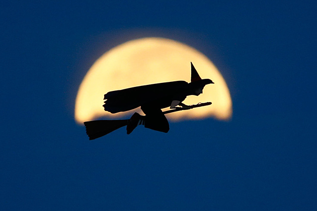 © Ben Nelms/Reuters 
Тестовый полет радиоуправляемой ведьмы на метле на фоне Луны, пролетающей вдоль Тихого океана в прибрежном городе Карлсбад, штат Калифорния, США