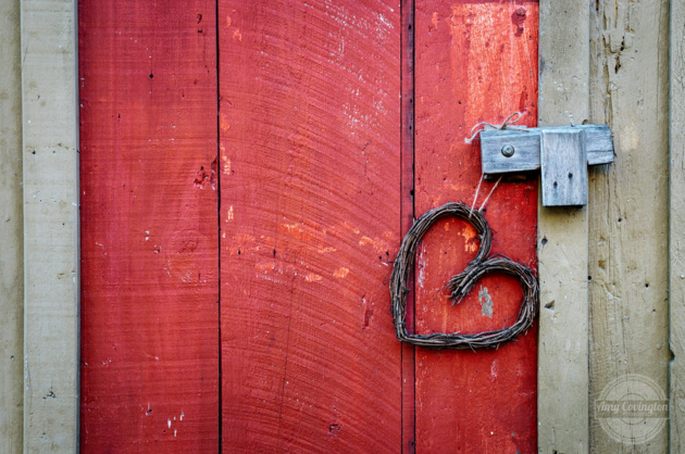 Red Door © Amy Covington