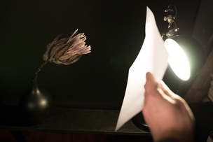 Чтобы сделать освещение более мягким, рассеянным, без четких теней, можно просто поместить листок тонкой бумаги между лампой и предметом съемки. 