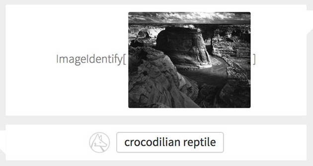 «Крокодиловая рептилия»