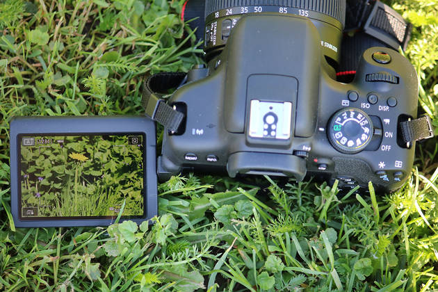 Поворотный дисплей Canon EOS 750D