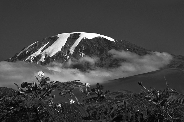 Вулкан Килиманджаро — высочайшая гора Африки 5895 м, находится на границе Кении и Танзании.