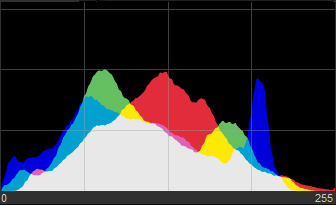 Вид представления RGB-гистограммы на едином графике. Гистограммы каждого из каналов окрашены в свои цвета. Программа Nikon Capture NX-D, в которой сделан этот скриншот, может представлять гистограммы как на едином графике, так и выводить отдельно каждый канал. Кстати, это гистограмма кадра с прудом, который вы видели чуть выше.