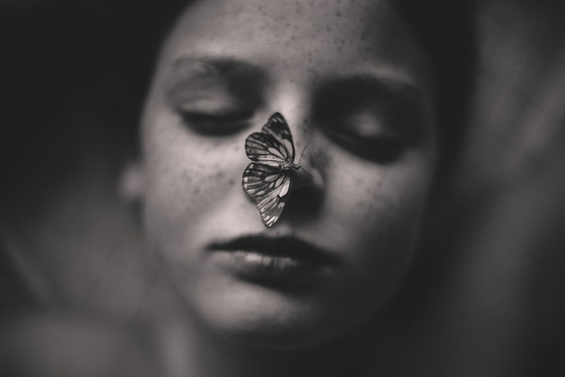 The Butterfly Pet © Kelly Tyack
