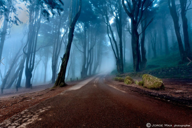 The road of kings © Jorge Maia. Португалия
