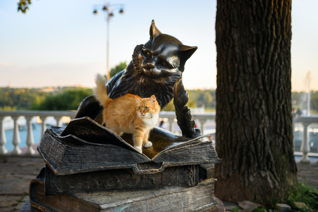 Ещё один пример «уютной» бронзовой статуи. На этот раз она посвящена герою сказок — Коту Учёному. Он сидит под дубом рядом с памятником 600-летию Калуги и читает книги.