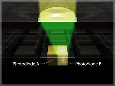 Каждый светочувствительный пиксель, спроектированный по технологии Dual Pixel CMOS AF, состоит из двух отдельных фотодиодов. При фазовой фокусировке фотодиоды работают отдельно, а при формировании изображения — вместе. С такой системой никаких дополнительных датчиков фазовой детекции, как это делают конкуренты, в сенсор изображения встраивать не надо. 
