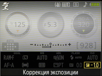 Экспокоррекция на экране. Коррекция -1 EV сделает кадр чуть темнее. Выбранная коррекция отображается как в числовом виде (в жёлтой рамке), так и на шкале экспонометра. 