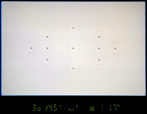 Покрытие кадра точками фокусировки в доступной камере Nikon D3500. 11 точек фокусировки расположены в центре.