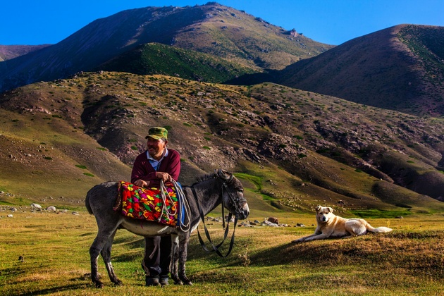 Жизнь на пастбище. Кыргызстан 
© Фото: Юлия Боровикова / Предоставлено РГО