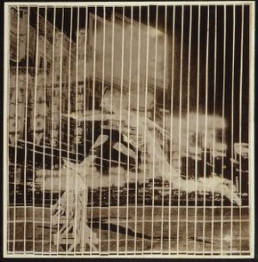 «Бегущий в городе». Фотомонтаж Эль Лисицкого, 1926 г. © Эль Лисицкий / 2000–2007 The Metropolitan Museum of Art