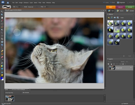Adobe Photoshop Elements и Adobe Premiere Elements 7