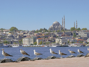 Типичный стамбульский туристический снимок-открытка. Оптический видоискатель позволил работать быстро и не спугнуть чаек