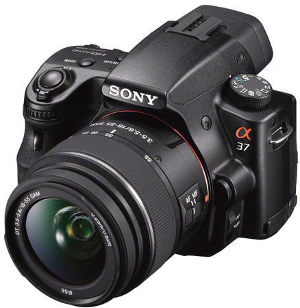 Sony NEX-F3, Sony SLT-A37 и Sony E 18-200mm F3.5-6.3 OSS LE