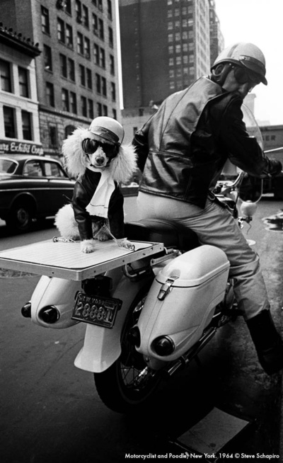 Мотоциклист и пудель, Нью-Йорк