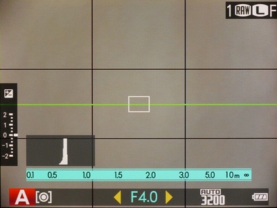 Fujifilm X20 показывает на экране уровень и гистограмму