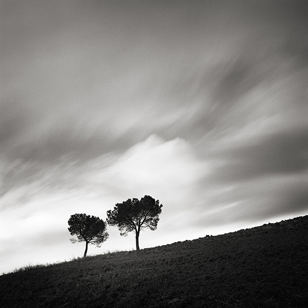 Two Trees. © Алексей Красников