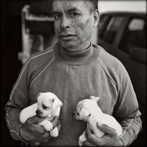 © whittiersam