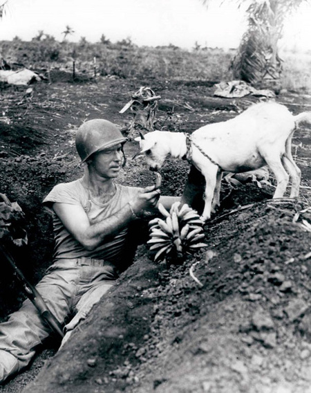 Солдат делится бананом с козленков во время битвы за Сайпан