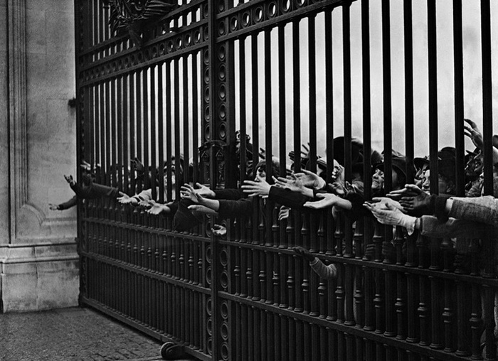 Лондонцы пытаются дотянуться до лепестков роз, падающих со всех сторон на королевских молодоженов принца Гарри, герцога Глостера, и его жену принцессу Алису, герцогиню Глостера, 6 ноября 1935 года во дворе Букингемского дворца. (AP Photo/Staff/Putnam)