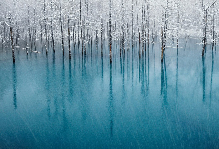 The Most Beautiful Pond in The World © Kent Shiraishi