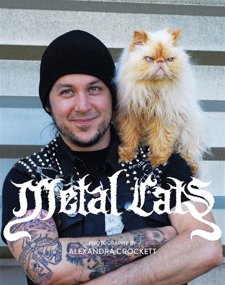 Metal Cats