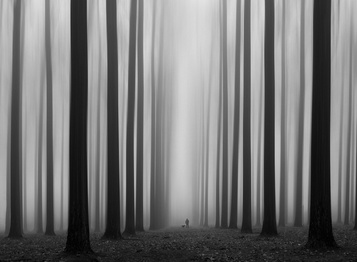Labyrinth  © Jochen Bongaerts