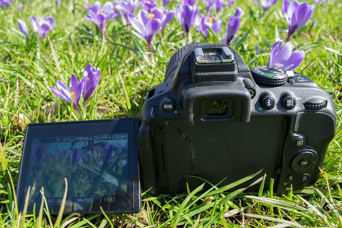 Изображение на поворотном дисплее Nikon D5300 отлично видно даже в солнечный день