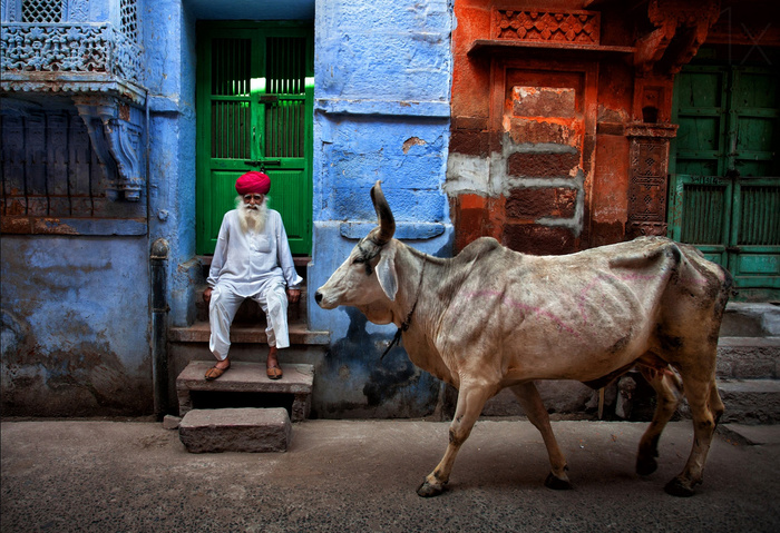 India © Fadhel Almutaghawi