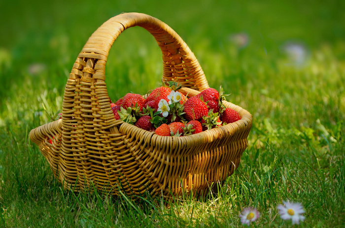Strawberry basket © Laura Pashkevich