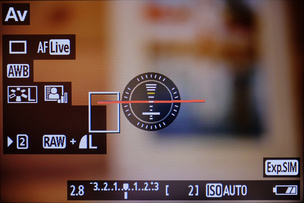 Индикация уровня на экране камеры