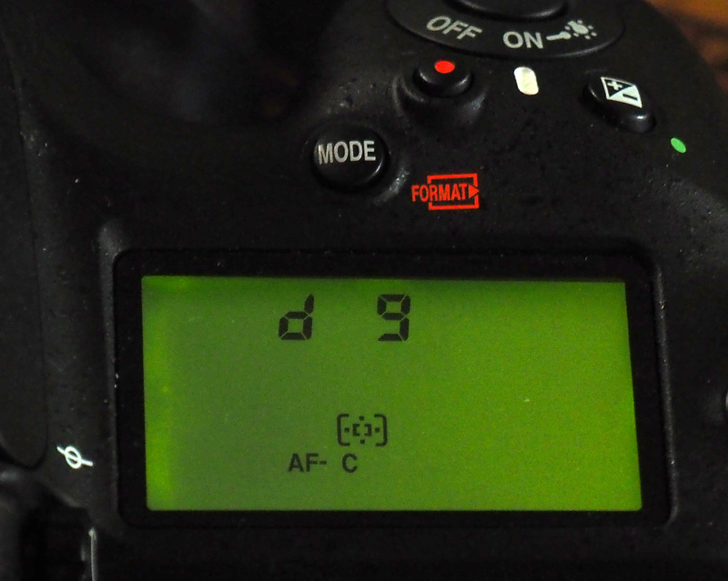 Автофокус и серийная съемка — обзор Nikon D810