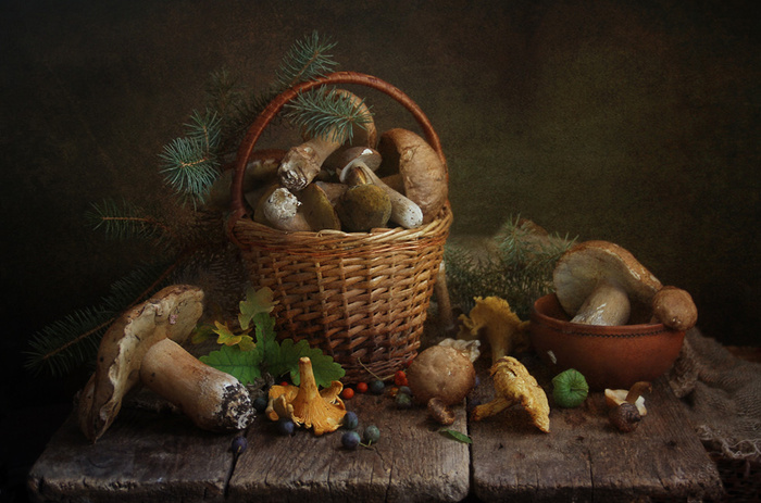Про грибы, грибочки... © Марина Филатова