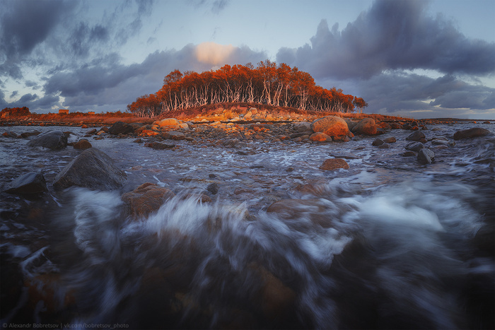 Остров Буян © Alexandr Bobretsov