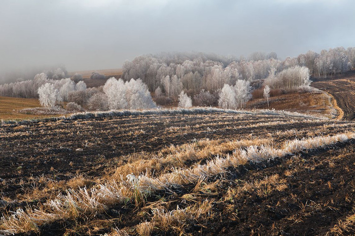 Лес в кружевах из осенних туманов © Михаил Вершинин