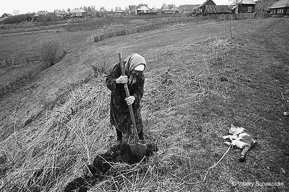 «Ульяновская область. Похороны кота. 1997»