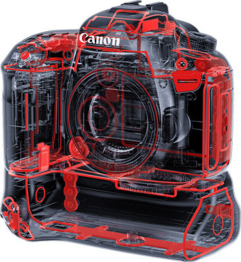 Обзор Canon EOS 7D Mark II: тест и сравнение фотоаппарата с