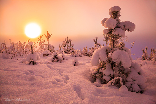 Морозная зима © Valtteri Mulkahainen