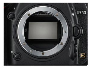 Зеркальные фотоаппараты Nikon имеют байонет Nikon F