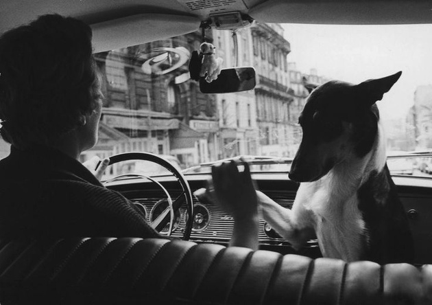 © Alfred Eisenstaedt, Woman taxi driver with her pet dog, París, 1963