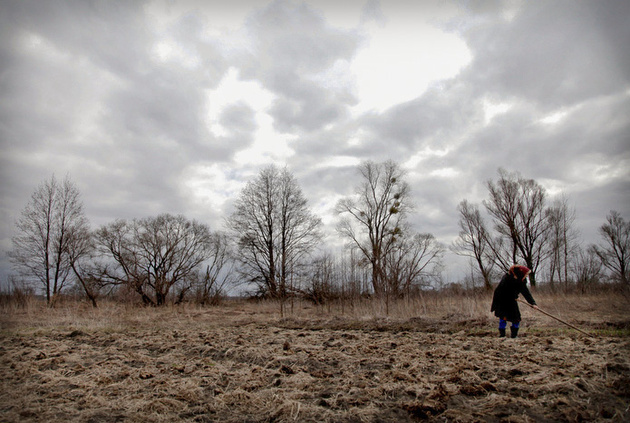 Лида Масанович работает в поле. Деревню Редковка эвакуировали после аварии на Чернобыльской АЭС. Пять семей остались.
