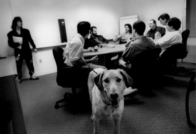 Собака на совещании в компании Autodesk (1995)
