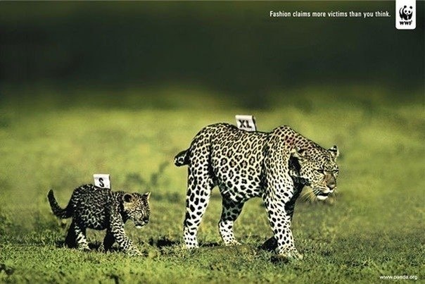 Реклама Всемирного фонда природы WWF: "Мода требует больше жертв, чем вы думаете."